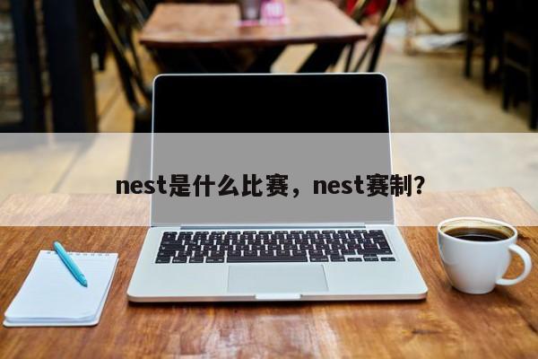nest是什么比赛，nest赛制？