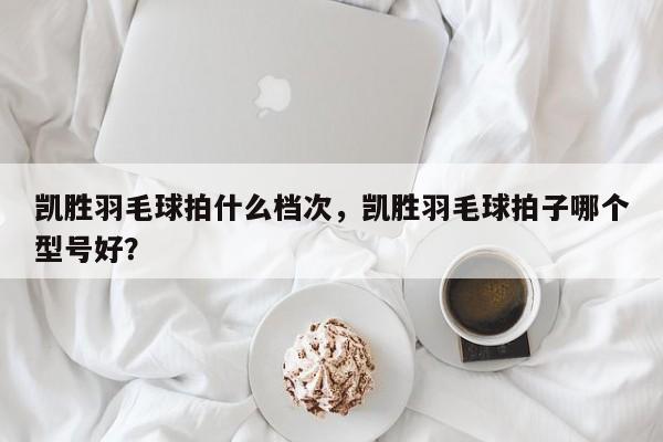 凯胜羽毛球拍什么档次，凯胜羽毛球拍子哪个型号好？