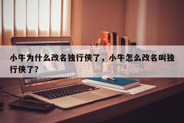 小牛为什么改名独行侠了，小牛怎么改名叫独行侠了？